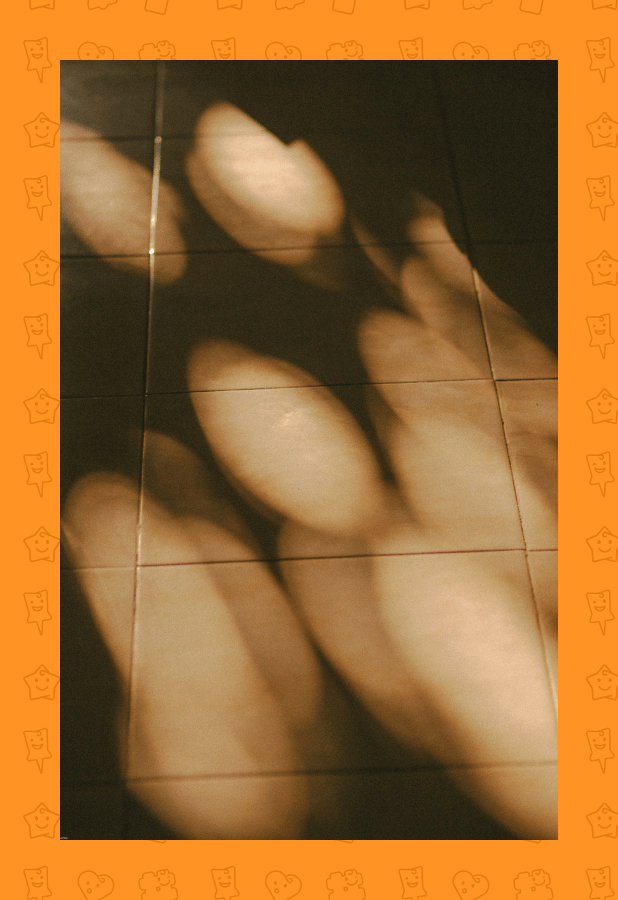 sun-shines-at-the-morning.png
